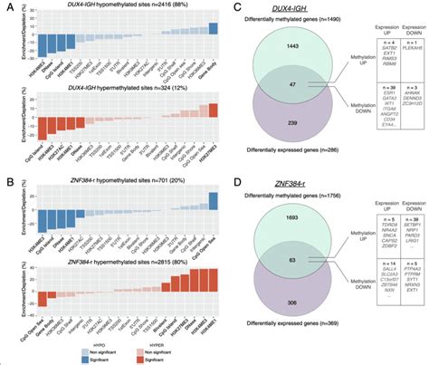 Functional Genomic Distribution Of Differentially Methylated Cpg Sites