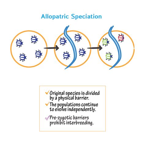 Allopatric Speciation | Draw It to Know It | General biology, Biology ...