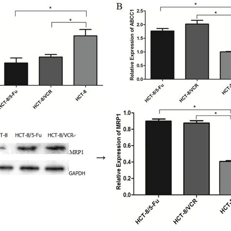 Cell Activity Assay A Mtt Od Values B The Altered Ic50 Of 5 Fu