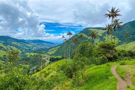 La Valle Del Cocora Verso Itaca