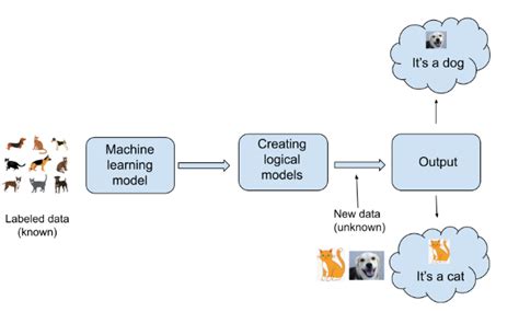 Supervised Machine Learning All You Need To Know Simplilearn