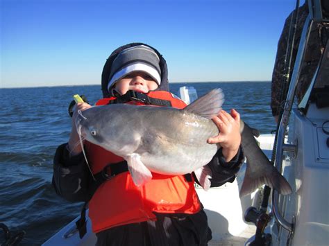 The Fishing Blog: Lake Tawakoni State Park