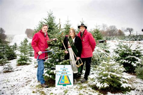 Saisonstart Der perfekte Christbaum Ein Christbaumbauer verrät seine