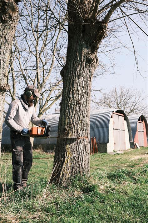 Photos Espace Vert Particulier Bois Environnement Services