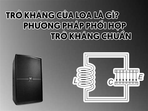 Trở kháng của loa là gì Phương pháp phối hợp trở kháng chuẩn