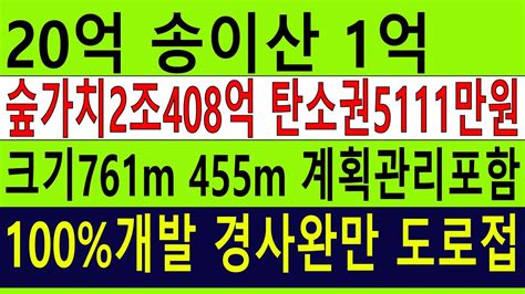 1억 송이산 대도시 수~만평계획관리12750평싼임야 100개발가경사완만 숲야영장탠트고기집6차산업1676개 숲가치2조408억