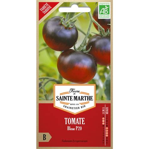 Semences Tomate Bleue P20 Bio 50 Graines Ferme De Sainte Marthe