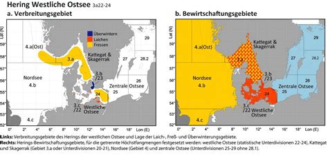 Th Nen Fangquoten F R Hering Der Westlichen Ostsee Update Der