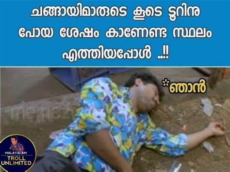 Pin By Afrin Tc On I Am A MALLU Funny Memes Funny Memes