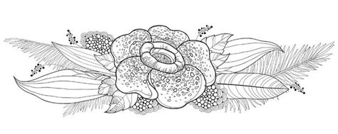 Vector Bouquet Of Outline Tropical Rafflesia Arnoldii Or Corpse Lily