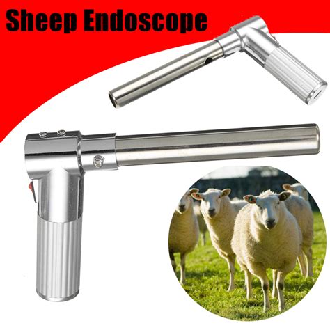 Other Tools Sheep Examination Of Insemination Hv3n Artificial