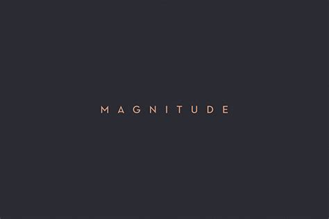 magnitude  behance