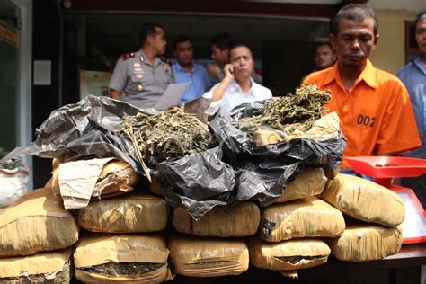 Penangkapan Pembawa Ganja Kilogram Antara Foto