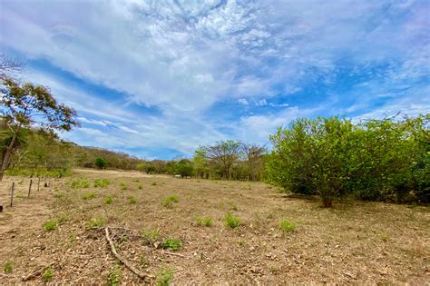 Vistas De Flamingo Lot 25 Large Forested Plot Of Land Minutes From