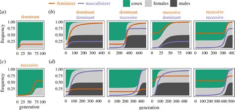 One Factor Sex Determination Evolves Without Linkage Between Feminizing And Masculinizing