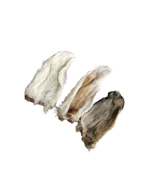 Dehydrated Rabbit Ears 50g Back To The Bone