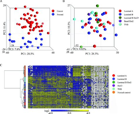 Mirna Microarray Analysis For 45 Breast Cancer Samples And 16 Normal