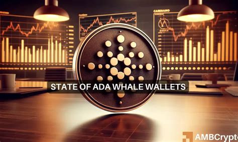 Cardano Whales Behaviour Means THIS For ADA S Price And Its Traders