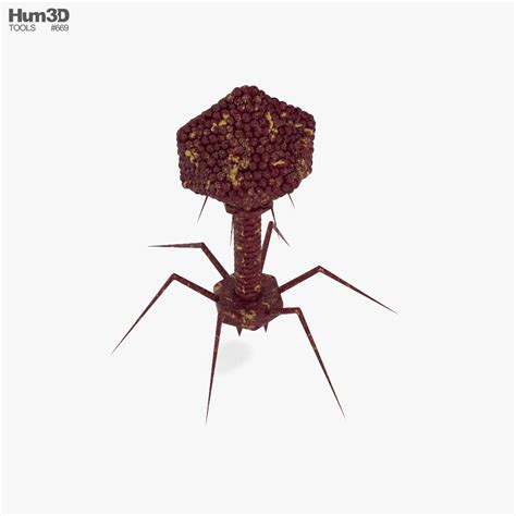 Bacteriophage 3d Model Life And Leisure On Hum3d