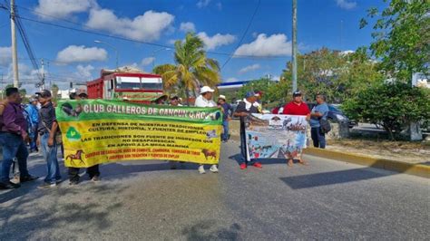 Protestan Galleros De Quintana Roo Piden Al Congreso Regular La