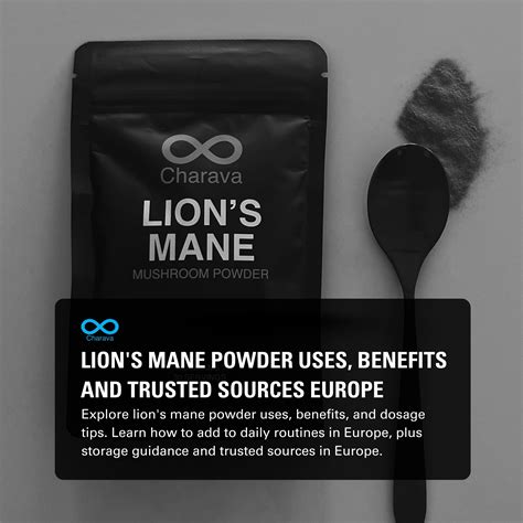Lion's Mane Powder Uses, Benefits and Trusted Sources Europe