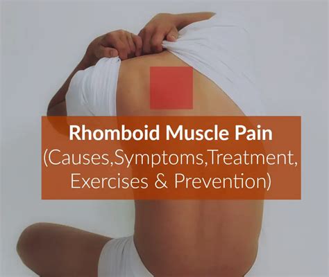 Rhomboid Muscle Pain (Causes,Symptoms,Treatment-Relief,Exercises,Prevention) - The Healthy Apron