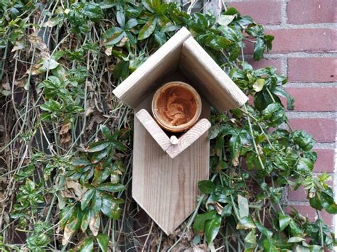 Vogelhuisje Zelf Maken Diy Hout Bestel Je Pakket