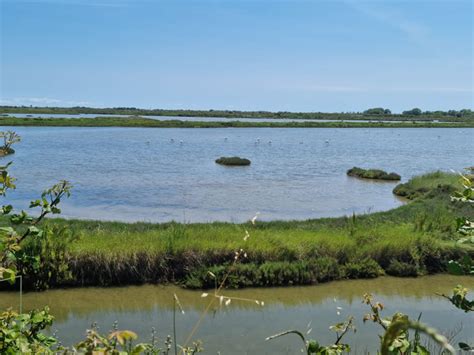 Le Barene Della Laguna Di Venezia Fra Cielo Terra E Mare 25