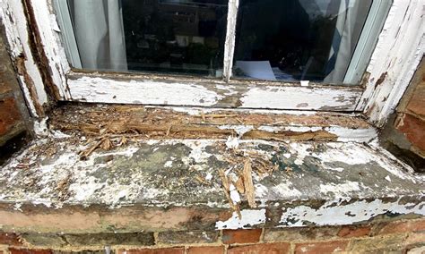 Rotten Wooden Window Frames Why It Happens And How To Fix It