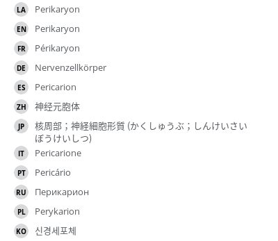 Perikaryon - e-Anatomy - IMAIOS