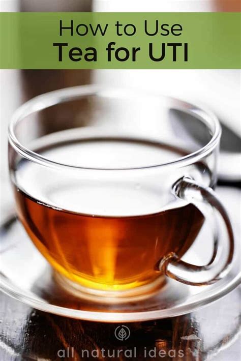 Is tea for UTI an effective herbal remedy? | All Natural Ideas