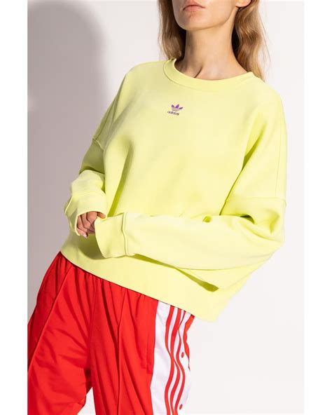 Neon Adidas Hoodies Atelier Yuwaciaojp