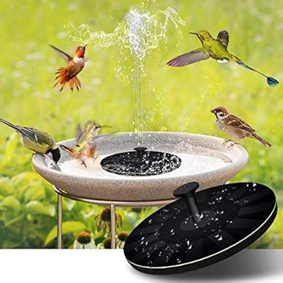 Amazon.com: hummingbird bath fountain