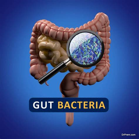 Introduction Of New Technology For Studying Gut Microbes - Global ...