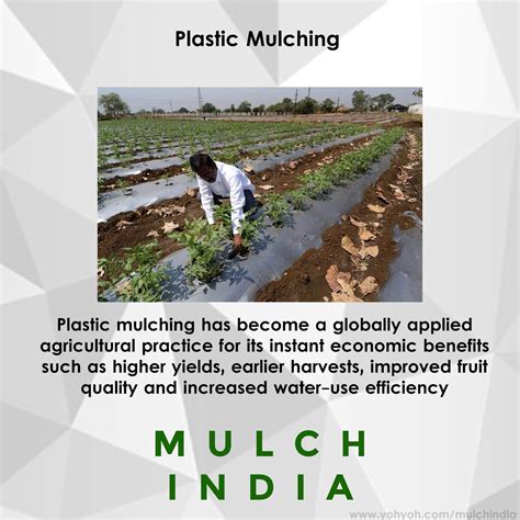 MulchIndia Plastic Mulching Mulch India