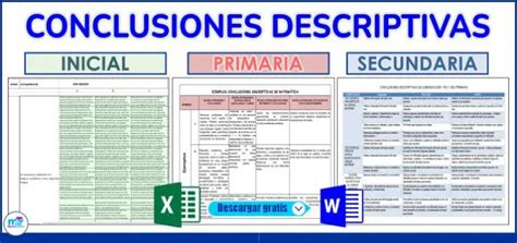 Conclusiones Descriptivas Inicial Y Primaria Materiales Educativos 462