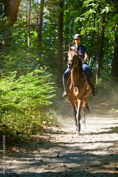 jeune fille cavalière adolescente montant un cheval pur sang irlandais