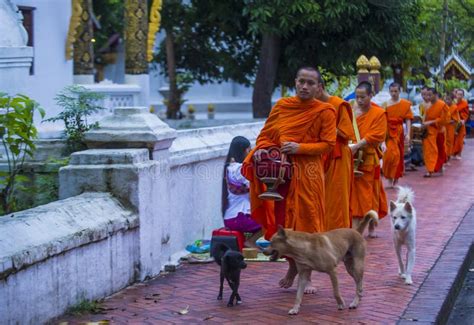 Limosnas Budistas Que Dan Ceremonia En Luang Prabang Laos Foto