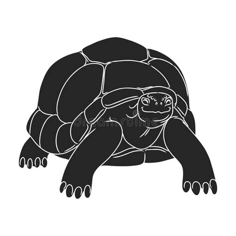 Icono De Vector De Tortuga Iconnegro Aislado En Tortuga De Fondo Blanca