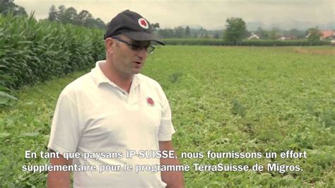 Migros Interview Production De Pommes De Terre TerraSuisse YouTube