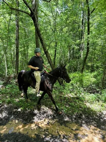 Best Long Trails in Natchez Trace State Park | AllTrails