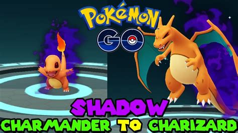 Evolving Shadow Charmander To Shadow Charizard In Pokemon Go Youtube