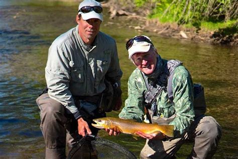 Credit River Trophy Browns The New Fly Fisher