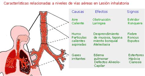 CAPITULO ONCE Lesion Inhalatoria