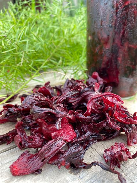 Sunkissed Hibiscus Tea from Egypt - Natural Blends