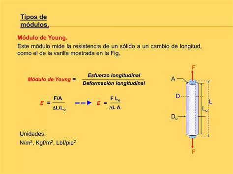 Elasticidad Fisica Dos Ppt Descarga Gratuita