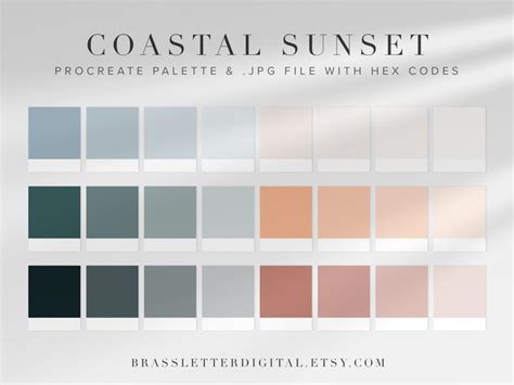 Coastal Sunset Color Palette Procreate Palette With Hex Codes