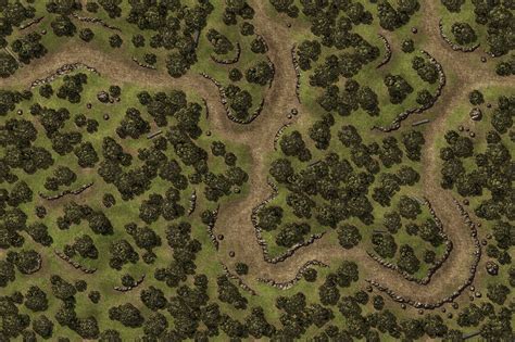 Roll 20 Forest Map