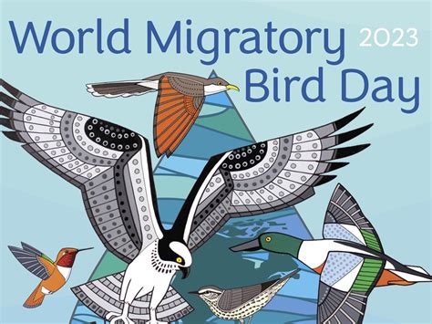 World Migratory Bird Day 2024 Poster 2024 - Tate Zuzana