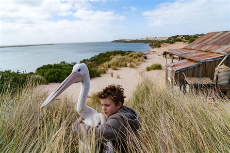 Finn Little Talks About Working With The Cast And Birds Of Storm Boy